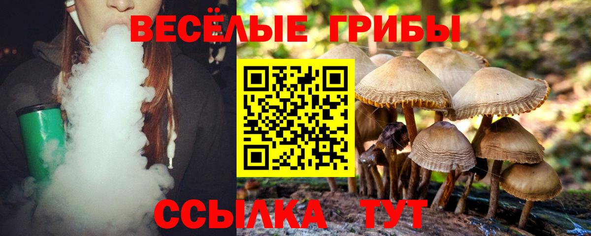 Псилоцибиновые грибы Cubensis Сунжа