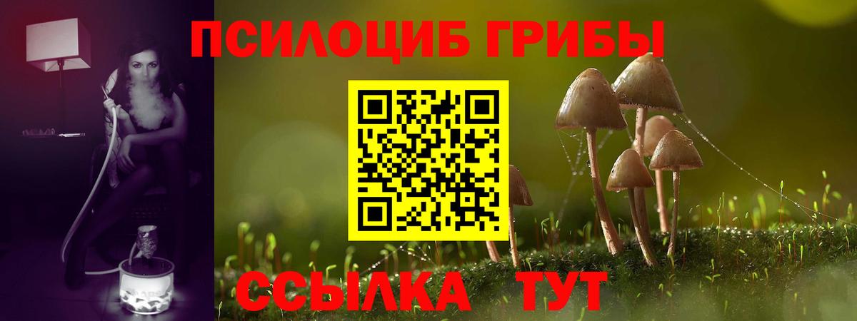 Псилоцибиновые грибы мухоморы  Псилоцибиновые грибы Magic Shrooms  Вход с VPN  Сунжа 
